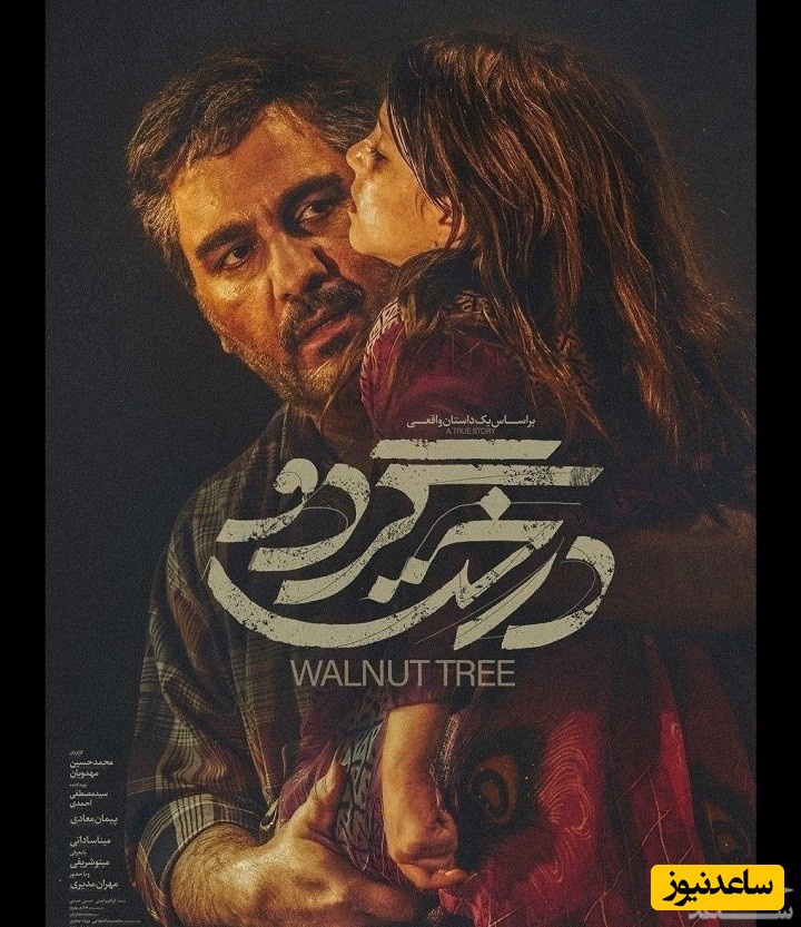 معرفی فیلم درخت گردو