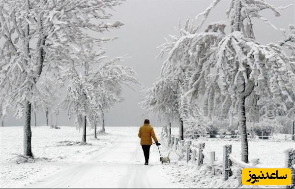 دیدن زمستان در خواب چه تعبیری دارد؟ / تعبیر خواب زمستان