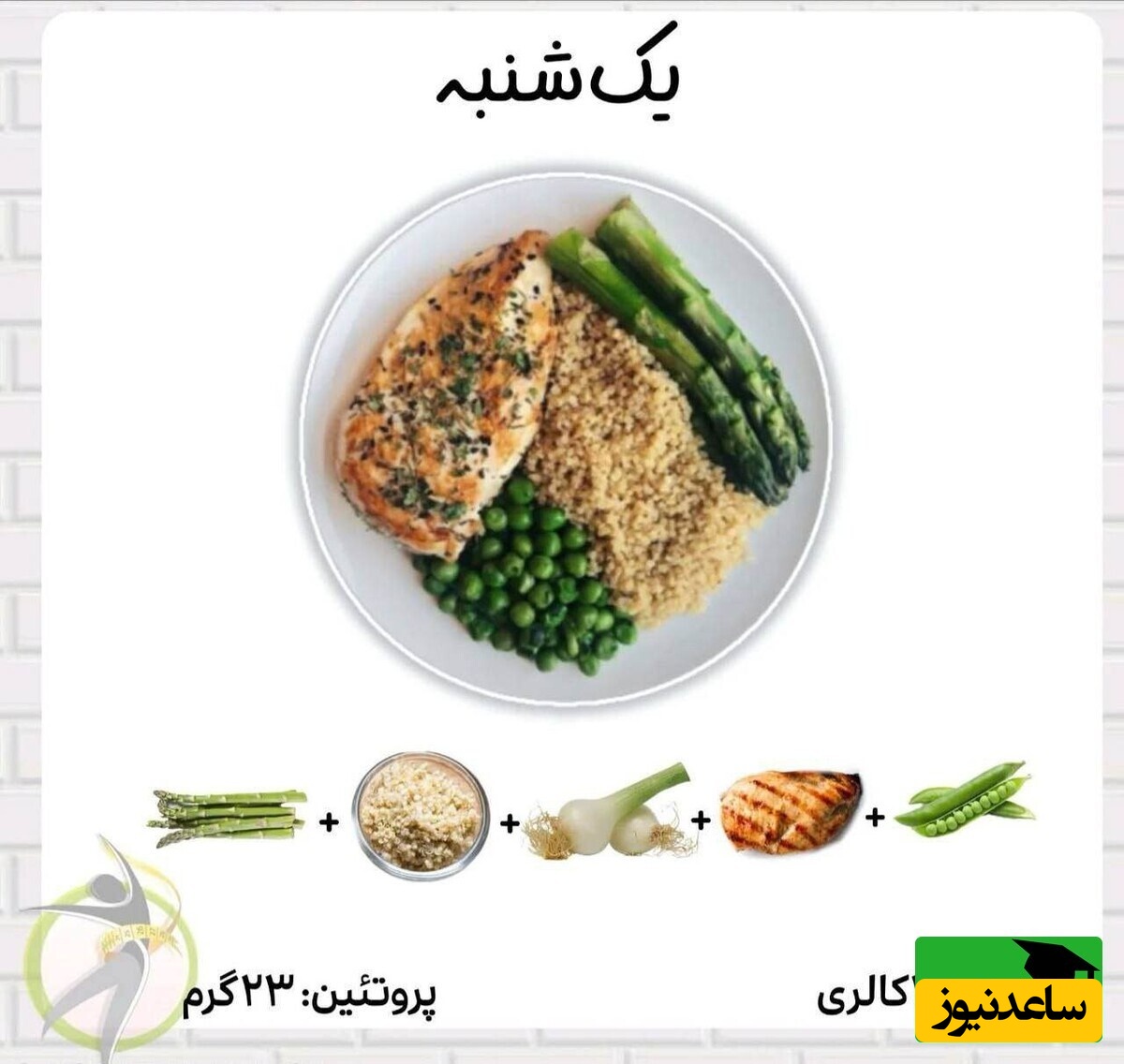  تغذیه