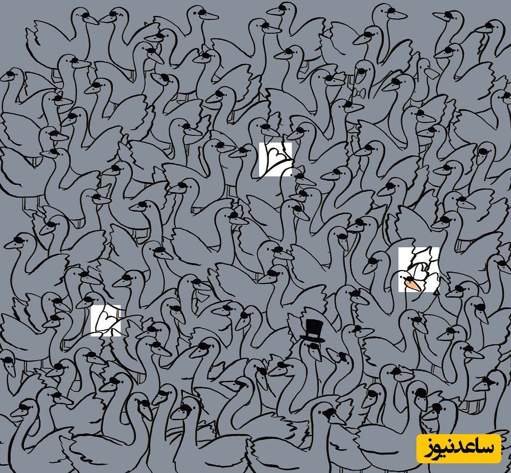 پاسخ