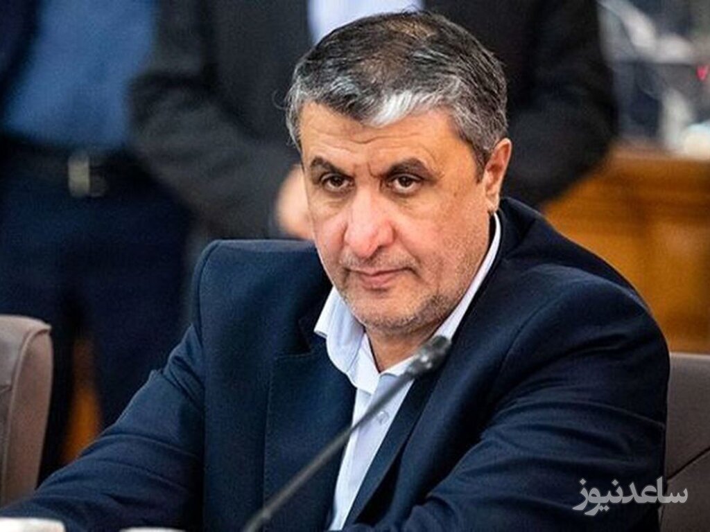 رییس سازمان انرژی اتمی: «نصب دوربین‌های آژانس فراتر از تعهدات ایران» کذب است