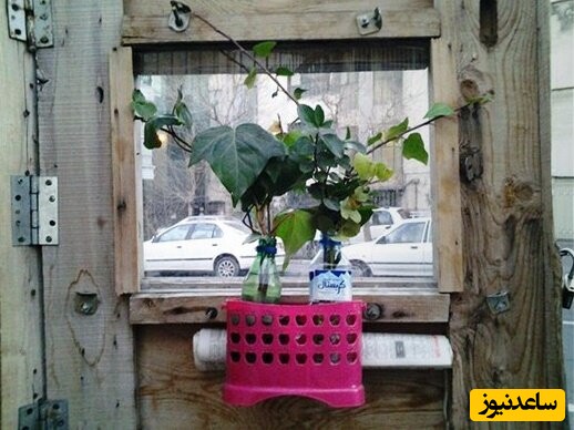 کمپر آقای شافعی