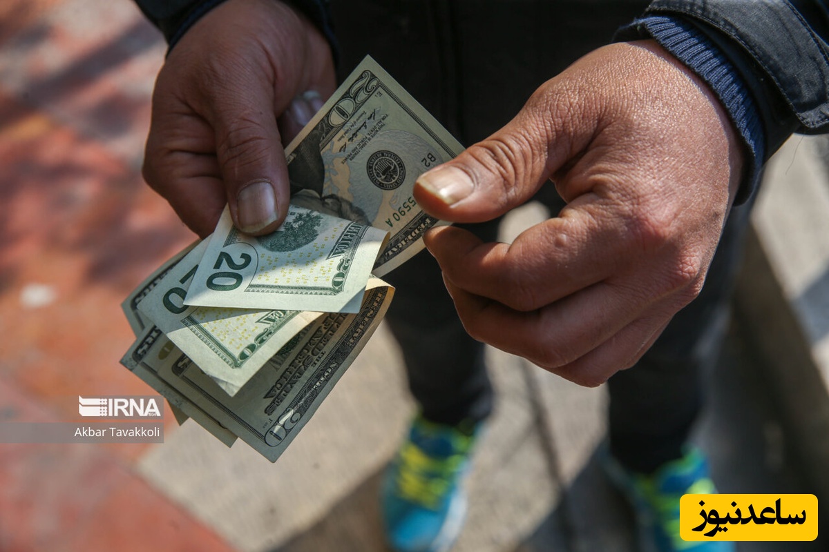 تامین ارز کالاهای اساسی به‌خوبی انجام می‌شود/ مدیریت بازار به‌ پشتوانه ذخایر بزرگ طلا