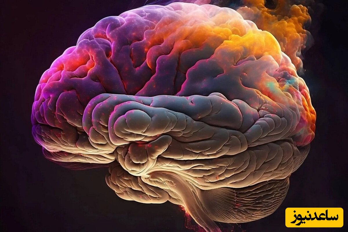 مغز انسان درحال بزرگ‌ترشدن است