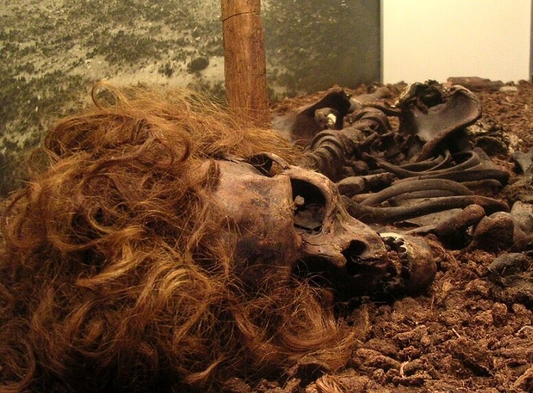 بقایای جسد که در موزه نگه‌داری می‌شود