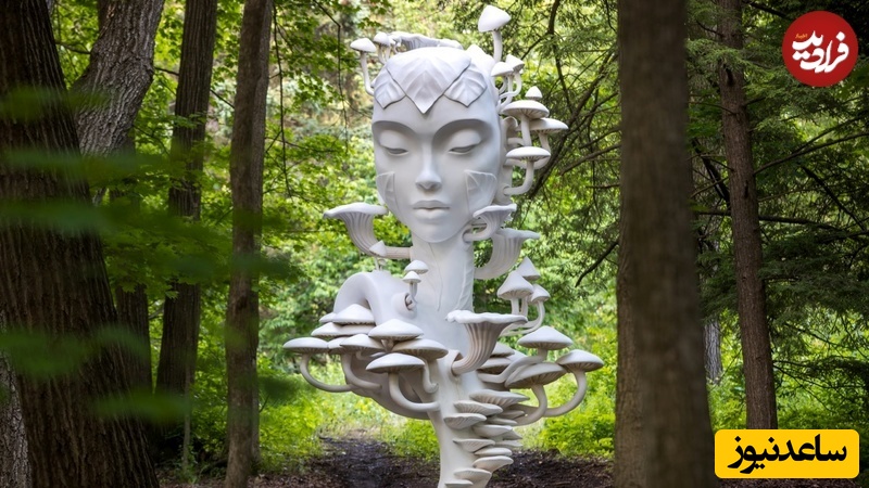 هنرهای خیابانی