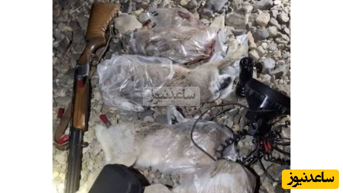 دستگیری سه شکارچی متخلف در اراضی حومه سراب