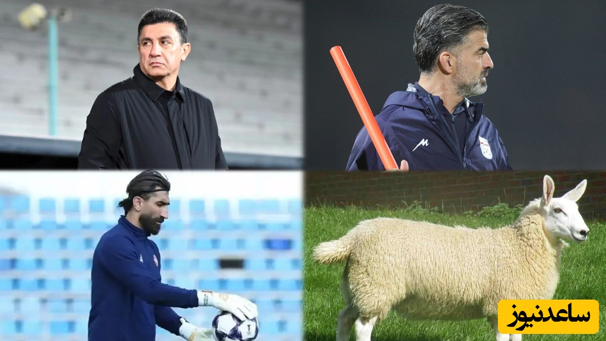 قلعه نویی مشکل قلبی دارد، می‌تواند استرس جام جهانی را تحمل کند؟! / بیرانوند به دنبال خودنمایی است، رحمان رضایی فایده‌ای برای تیم ملی ندارد و جمعیت گوسفندهای نیوزلند از آدم‌ها بیشتر است!