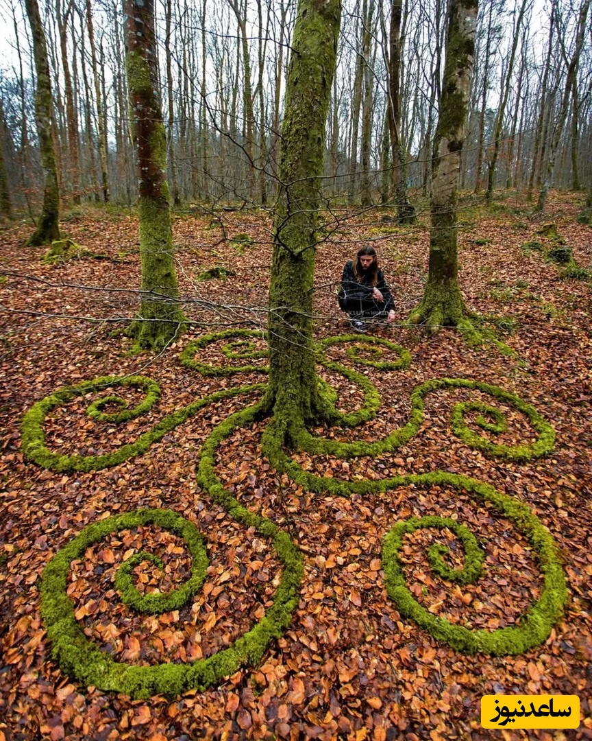 موسکو، جنگل‌های مین‌وِر، ولز