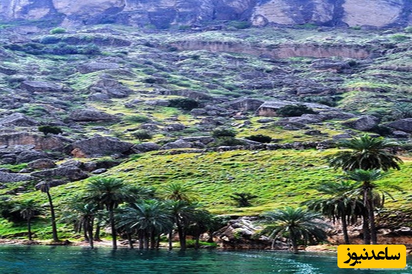 کشف بهشتِ پنهان در روستای پامنار/ جایی رؤیایی در دل دزفول که طبیعت، آرامش و شگفتی را یکجا به تو هدیه می‌دهد+ عکس