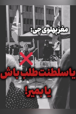 شاهکار جدید پاچه‌ورمالیده‌های سلطنت‌طلب صدای همه را درآورد! + عکس / از اون شازده همچین طرفداری بعید نیست!