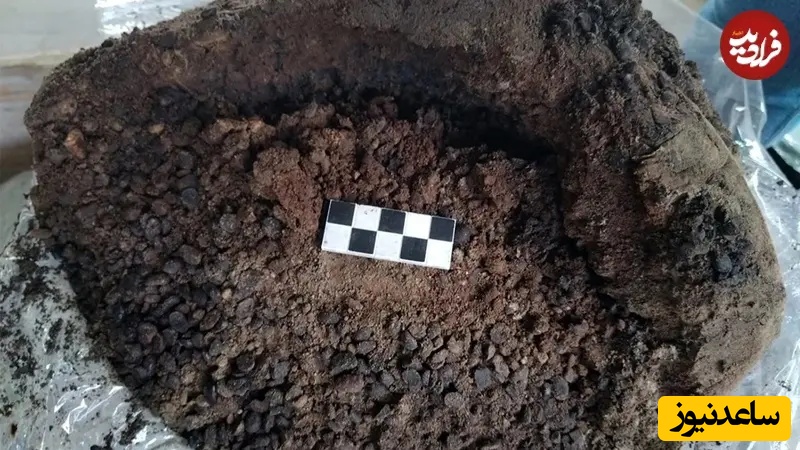 باستان‌شناسان کوزه‌هایی پر از حبوبات و سبدهای میوه را که در طبقات بالایی محل اسکان بردگانِ یک ویلای پمپئی نگهداری می‌شد، کشف کردند