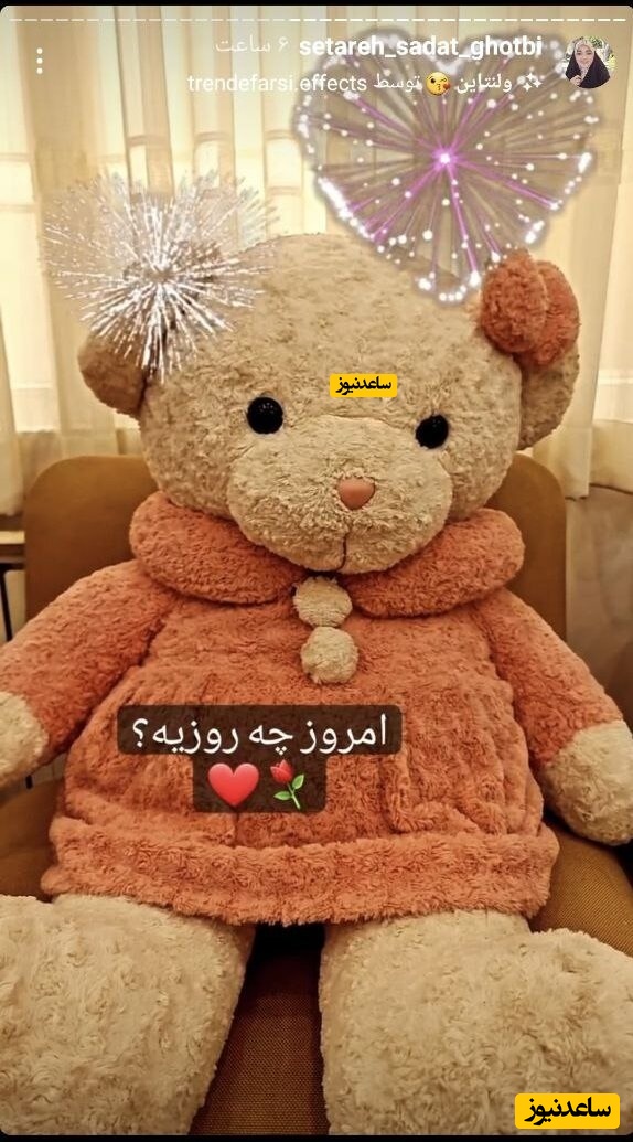 ستاره سادات قطبی