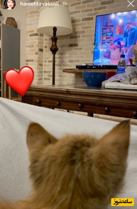 منزل هانیه توسلی