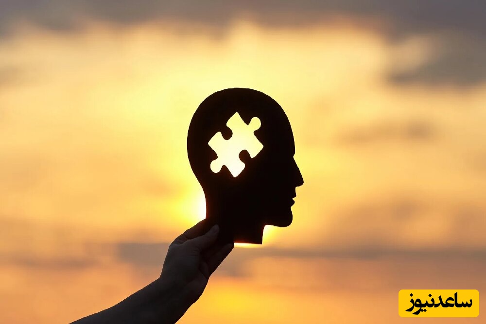 انعطاف‌پذیری مغز