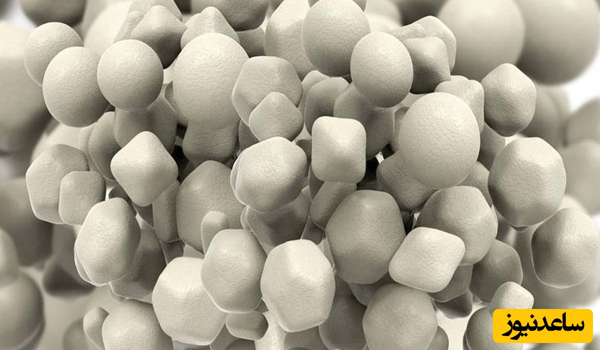 کنسروهای حاوی نانو ذرات روی چه اثری بر روی بدن دارند؟