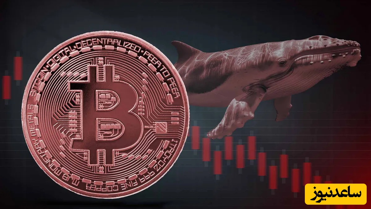 هشدار جدی جیمز وین؛ نوامبر می‌تواند آغاز سقوط بزرگ وال‌استریت و بیت‌کوین باشد!