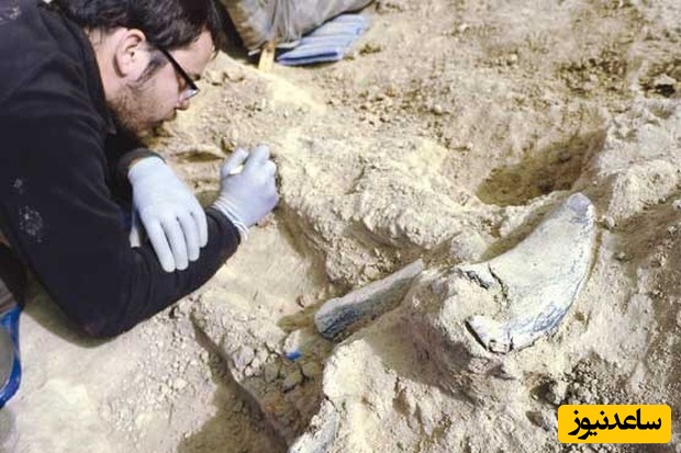 منابع و دروس رشته باستان شناسی و ضرایب آن در مقطع کارشناسی ارشد