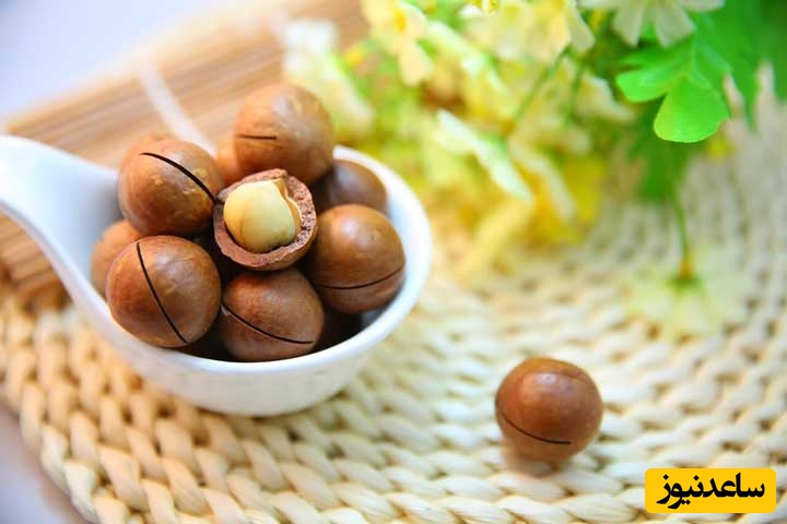 فندق