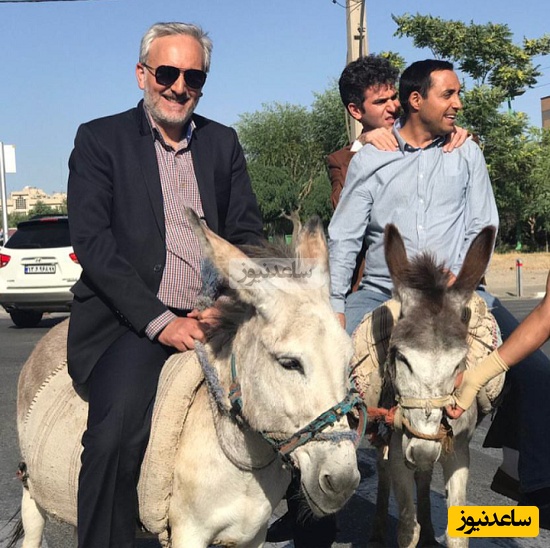 این سکانس خرسواری بیژن بنفشه خواه، هوتن شکیبا و امیرحسین رستمی در سریال "لیسانسه ها" عمرا فراموش بشه + ویدیو / دکتر عینک آفتابی هم زده ژست گرفته😂