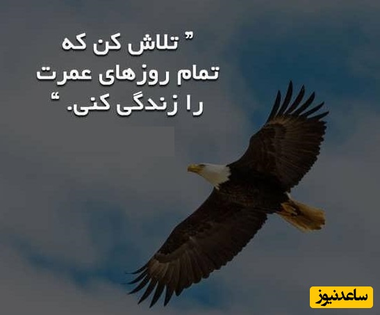 کائنات پیام ویژه‌ای برات داره؛ وقتی دلت گرفته و حس می‌کنی هیچ‌کس نمی‌فهمت، بدون هنوز یه خدایی هست که حتی صدای سکوتت رو می‌شنوه...