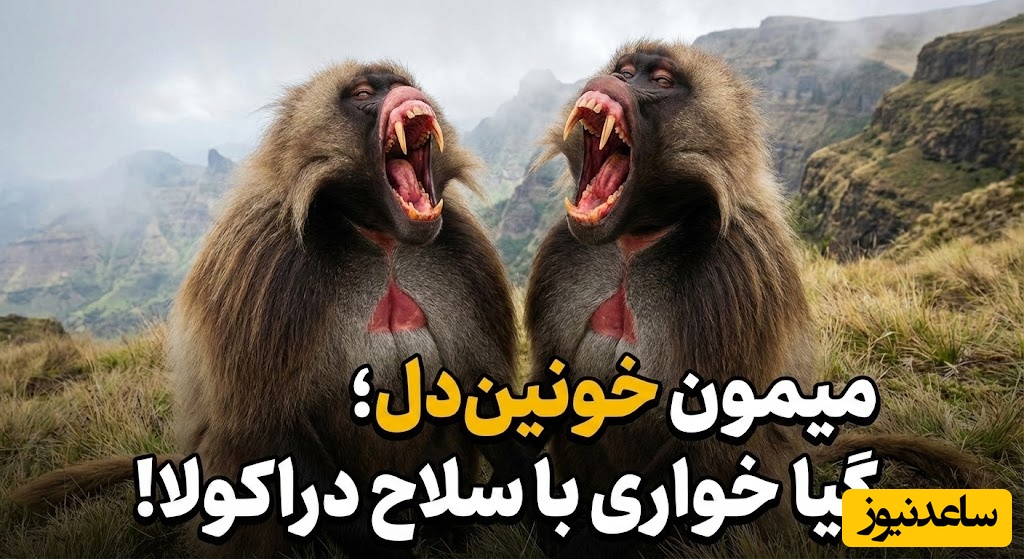 (ویدئو) مستند حیات‌وحش حیوانات؛ ماجرای امروز راز بقا: تضاد عجیب در طبیعت؛ وحشی‌ترین چهره برای صلح‌جوترین حیوان