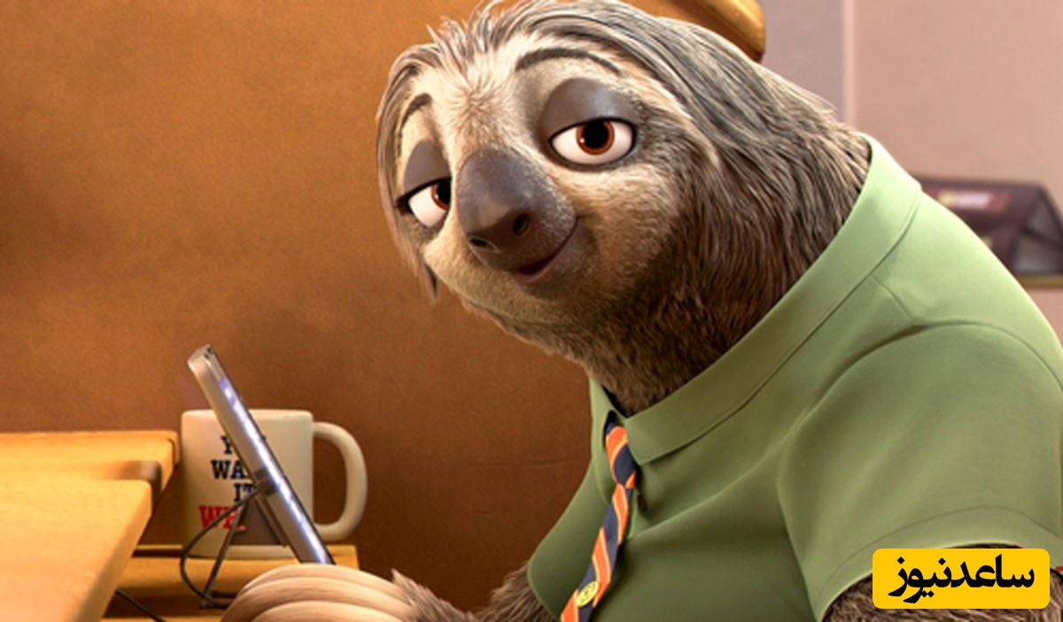 امروز روز تنبل‌هاست / خلاقیت تحسین برانگیز کارفرما برای کارمندان تنبل خود، این رئیس روی سر جا داره کاش همه یاد بگیرن / کیا نیاز به همچین محیط کاری دارند؟ 🤣+ ویدئو