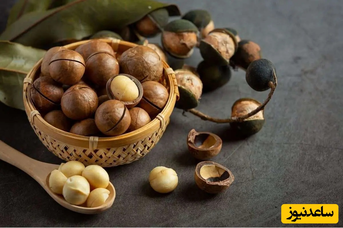 خواص فندق و روغن فندق برای پوست و مو چیست؟