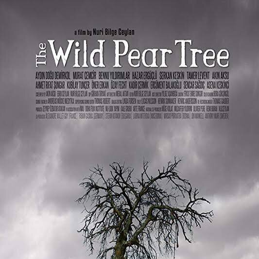 the wild pear tree