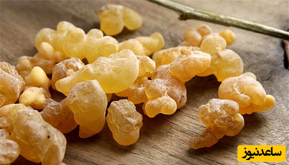 خوردن کندر در بارداری چه فواید و چه عوارضی دارد؟