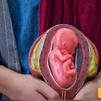 هزینه میلیاردی بانوان پولدار برای مادر شدن بدون بارداری!