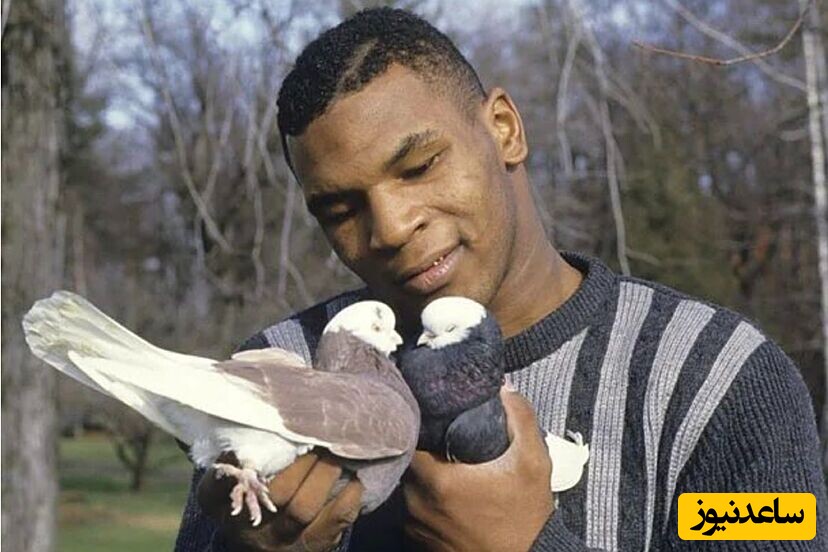 مایک تایسون