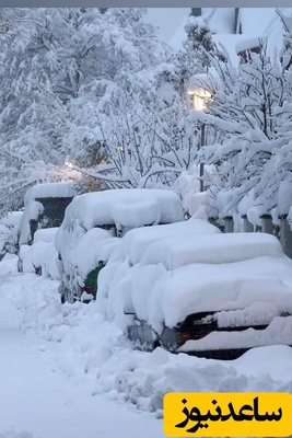 هم‌اکنون بارش شدید برف در شهرهای مختلف ایران و دفن شدن دلخراش گله گوسفند