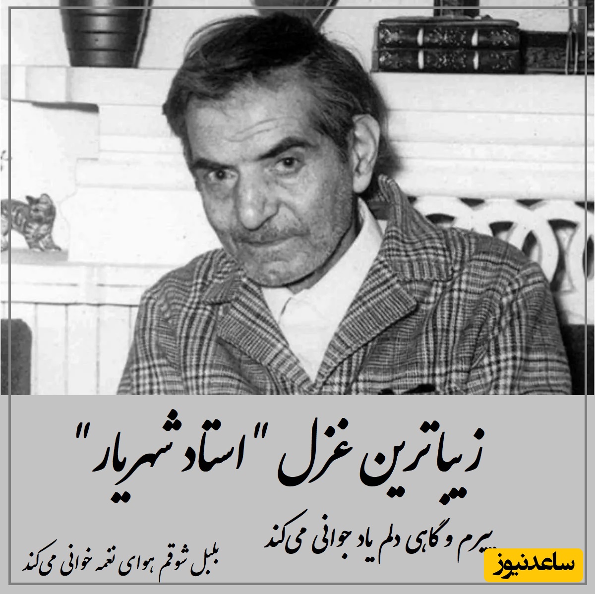 پیرم و گاهی دلم یاد جوانی می‌کند.../ زیباترین غزل‌خوانی شهریار با صدای گریان، تنها شعری که استاد موقع خواندن آن اشک ریخت، صداش چه دردی داره