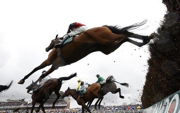 مسابقات اسب سواری در لیورپول انگلیس/ رویترز