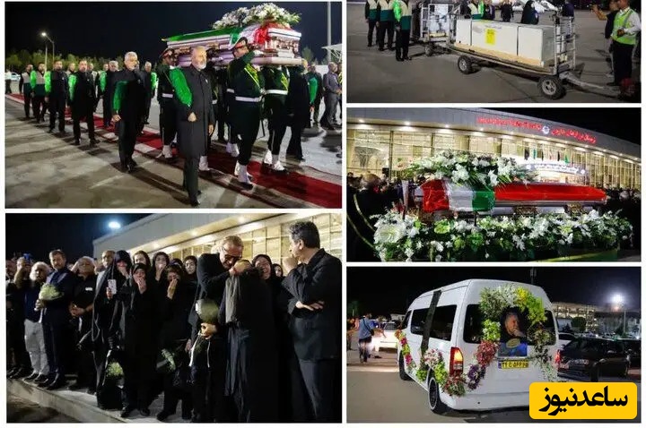 استاد محمود فرشچیان