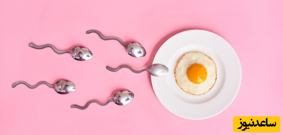 همه چیز درباره تخمک گذاری و پریود نامنظم