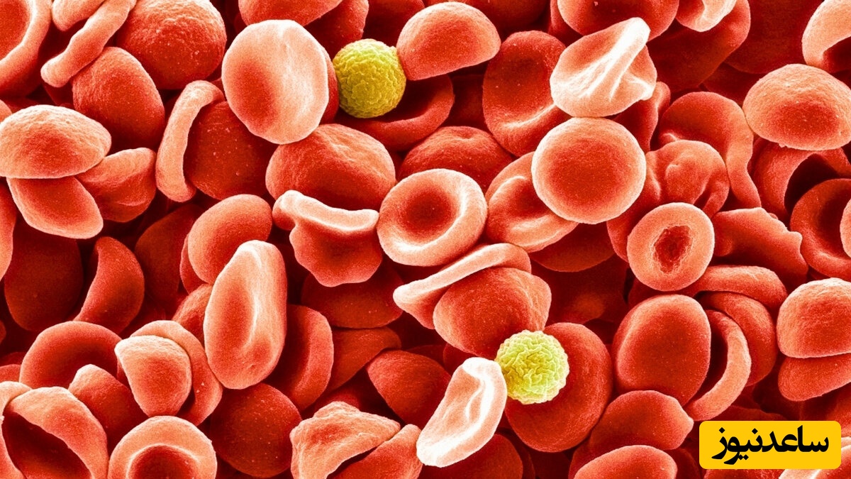 گروه خونی اسرارآمیزی که پزشکان سال‌ها دنبالش بودند بالاخره شناسایی شد!