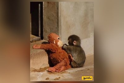 وقتی مادر واقعی رفت، مادر عروسکی جای او را گرفت! فیلمی که میلیون‌ها نفر را گریاند