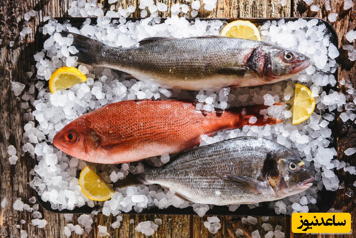 نحوه تشخیص ماهی مناسب در آشپزی و ارزش غذایی آن+ عکس