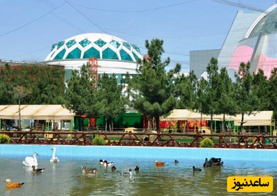 خلاقیت جالب شهرداری مشهد برای پرنده ها در پارک/ این مهربونی قابل ستایشِ!