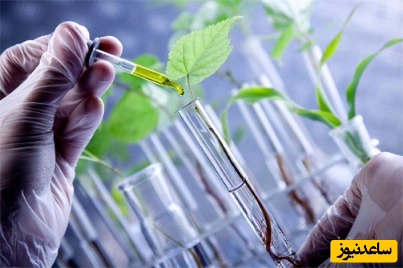 نمونه کارنامه و ظرفیت پذیرش رشته بیوتکنولوژی کشاورزی در مقطع کارشناسی ارشد