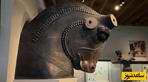 تندیس «سر گاو» تخت جمشید در موزه دانشگاه شیکاگو/ باشکوه‌ترین نمادهای معماری و هنر هخامنشی+ ویدیو