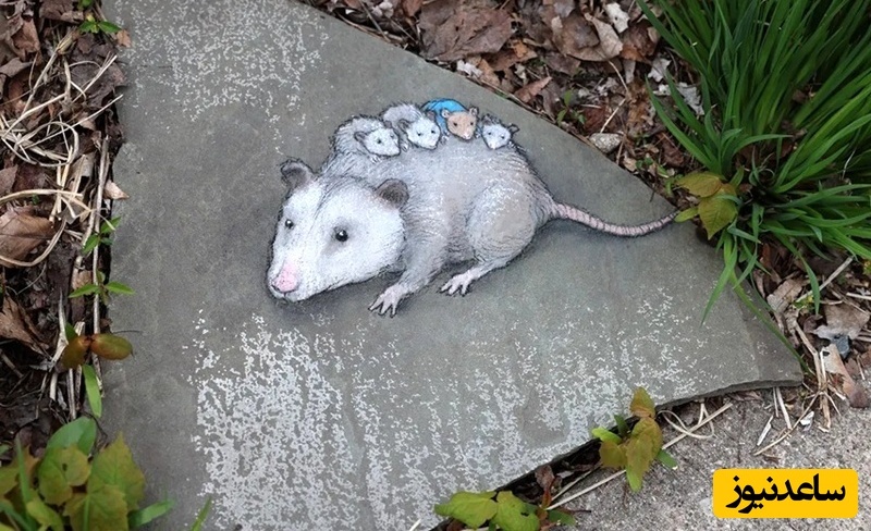 نقاشی های خیابانی