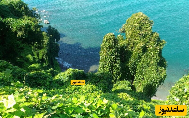 باغ گیاه شناسی باتومی