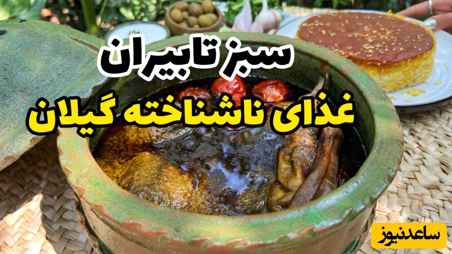 طرز تهیه سبز تابیران؛ خورشت جادویی و ناشناخته‌ گیلان/ این خورشت لذیذ و ته دیگ مرده رو هم زنده میکنه