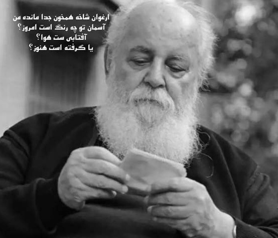 (ویدیو) سوزناک‌ترین و عاشقانه‌ترین شعر هوشنگ ابتهاج: ارغوان شاخه همخون جدا مانده من/آسمان تو چه رنگ است امروز؟...