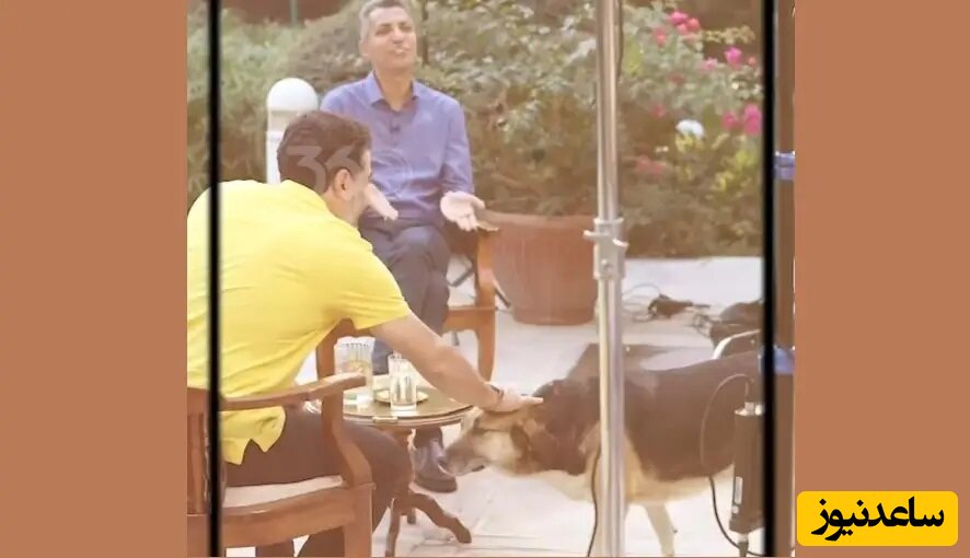 واکنش بامزه و دیدنی فردوسی پور به حضور سگ غول پیکر همایون شجریان در وسط مصاحبه/ این چی میخواد از جون ما؟+ویدیو