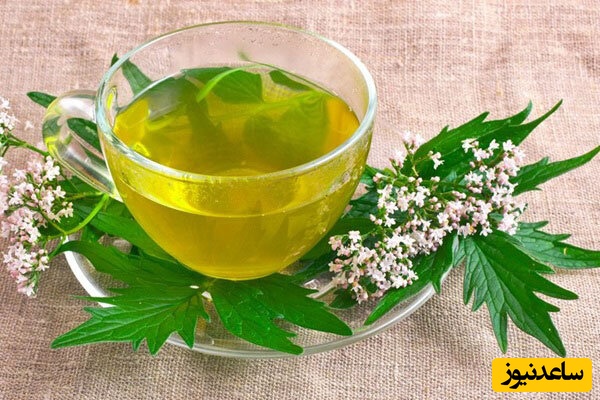  دمنوش سنبل‌الطیب