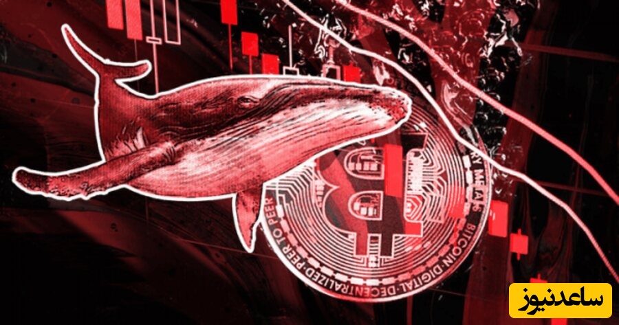 ویدئو/وقتی بیت‌کوین خریدی اما یادت رفته سیوِ سود کنی ... 🤣